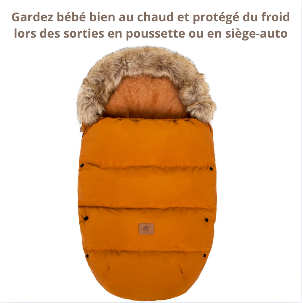 Chancelière